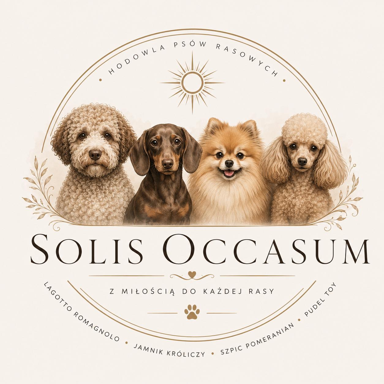 Szczenięta hodowli Solis Occasum
