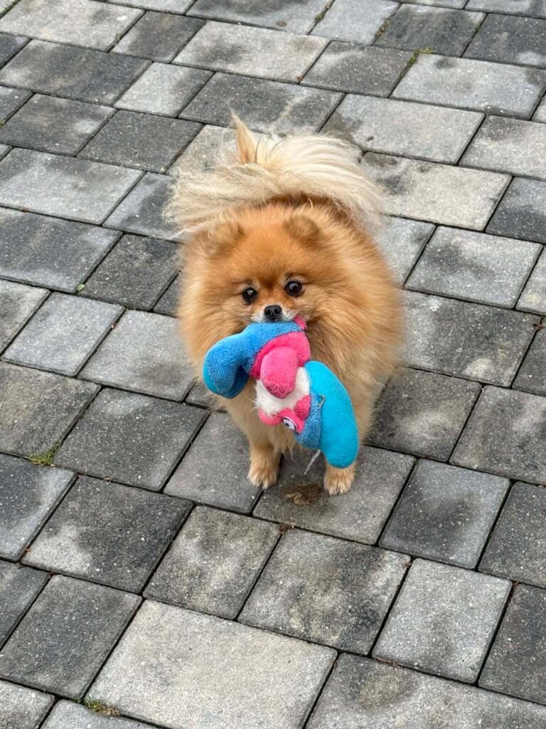 Malka