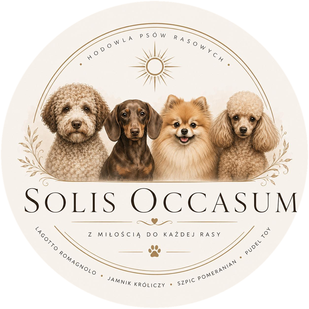 Logo Solis Occasum